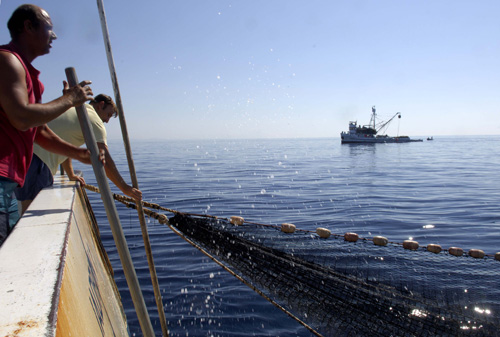 Tunolov: Povlačenje mreže na tunolovcu Jadran I u akvatoriju otoka Jabuke
