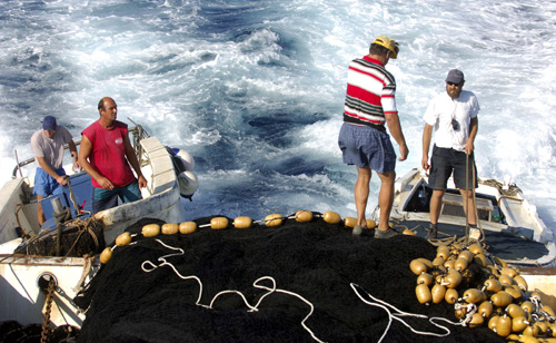 Tunolov: Spremni mornari za bacanje mreže na Jadranu I