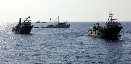 Tunolov: Talijanske ribarice opremljene su kao ratni brodovi za tunolov u akvatoriju otoka Jabuka