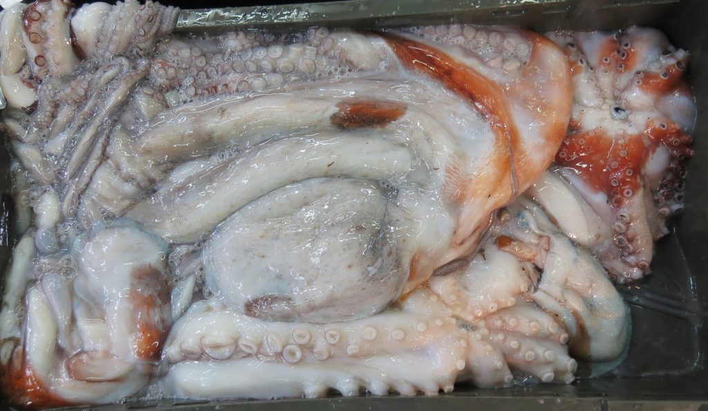 Puna kašeta hobotnica na u ribarnici na Dolcu