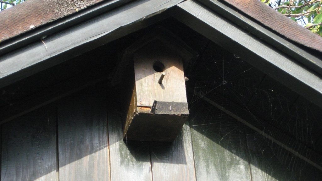 Kućica za ptice pod krovom vrtne kućice za alat