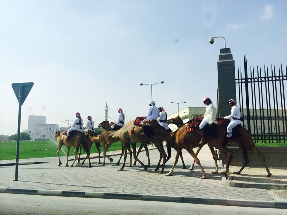 Pogleda na putu za posao - beduini na devama na pločniku ispred emirove palače