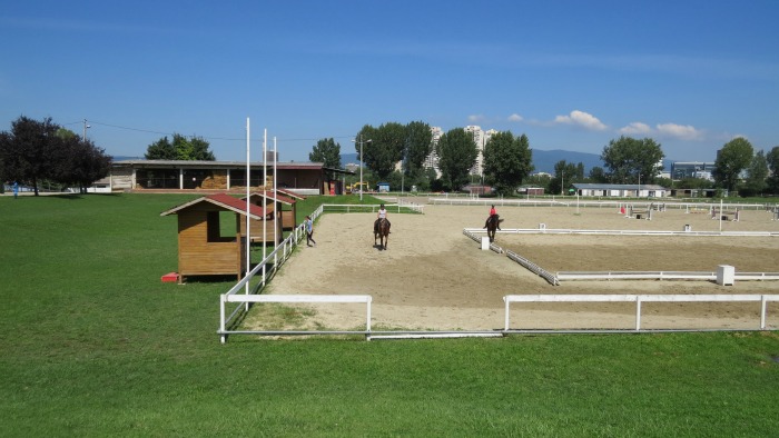 Zagrebački hipodrom, trening konja