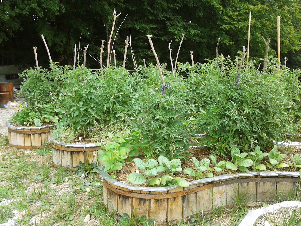Ljetno bujanje biljaka na kružnim gredicama Recikliranog imanja Vukomerić Zmag