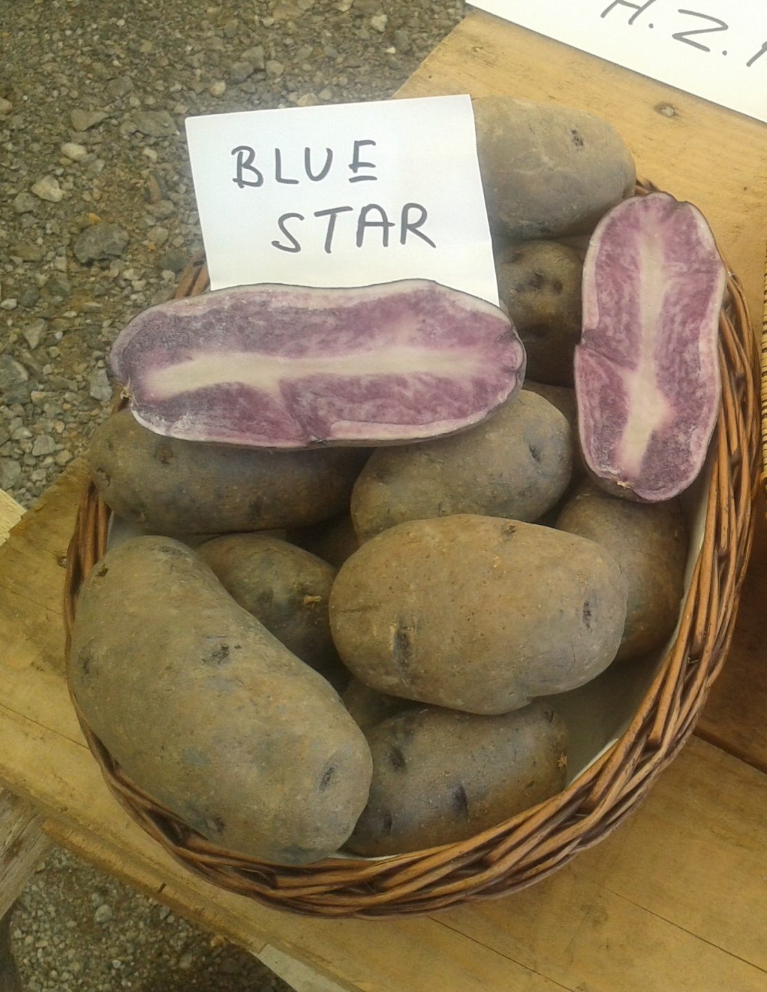 Krumpir Blue star