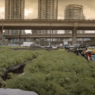 Grad Vancouver razvija urbane vrtove, pčelinjake i održivi sustav prehrane