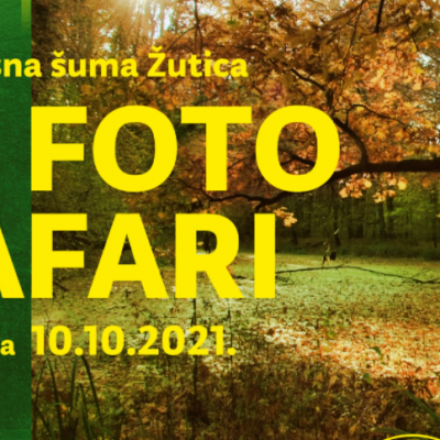 fotosafari šuma Žutica, Izlet iz Zagreba