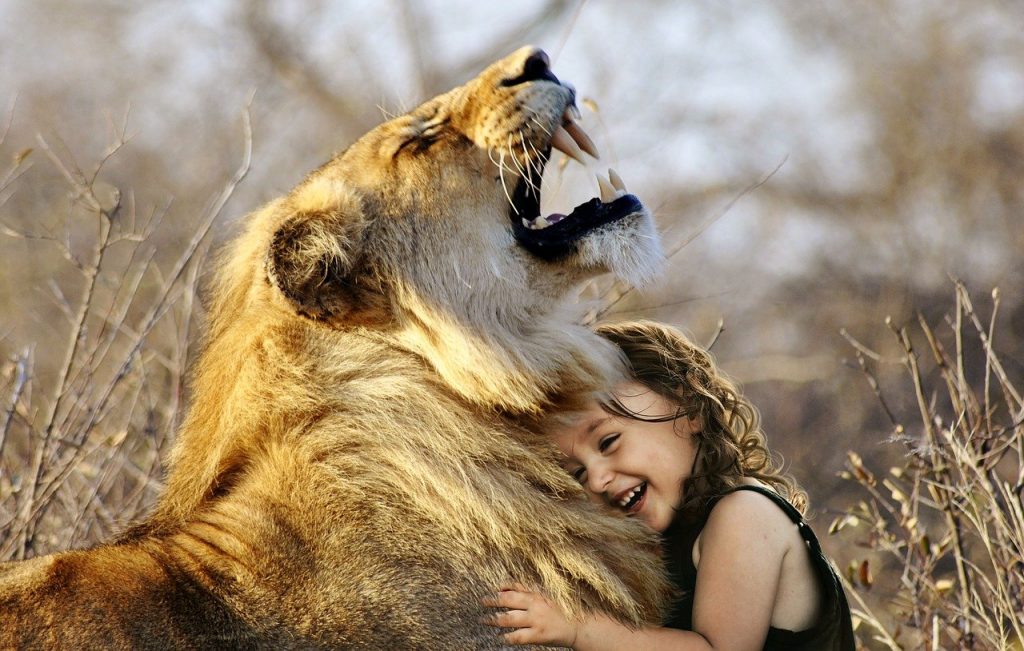 Desiderata, djevojčica u igri s lavom