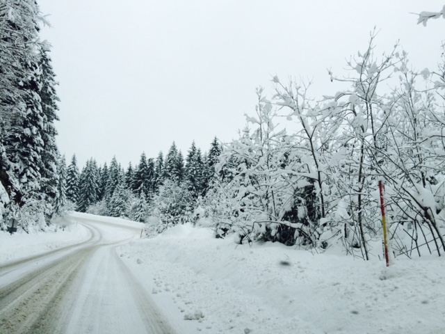 Bosna Dolazak sniježnom cestom na Vlašić