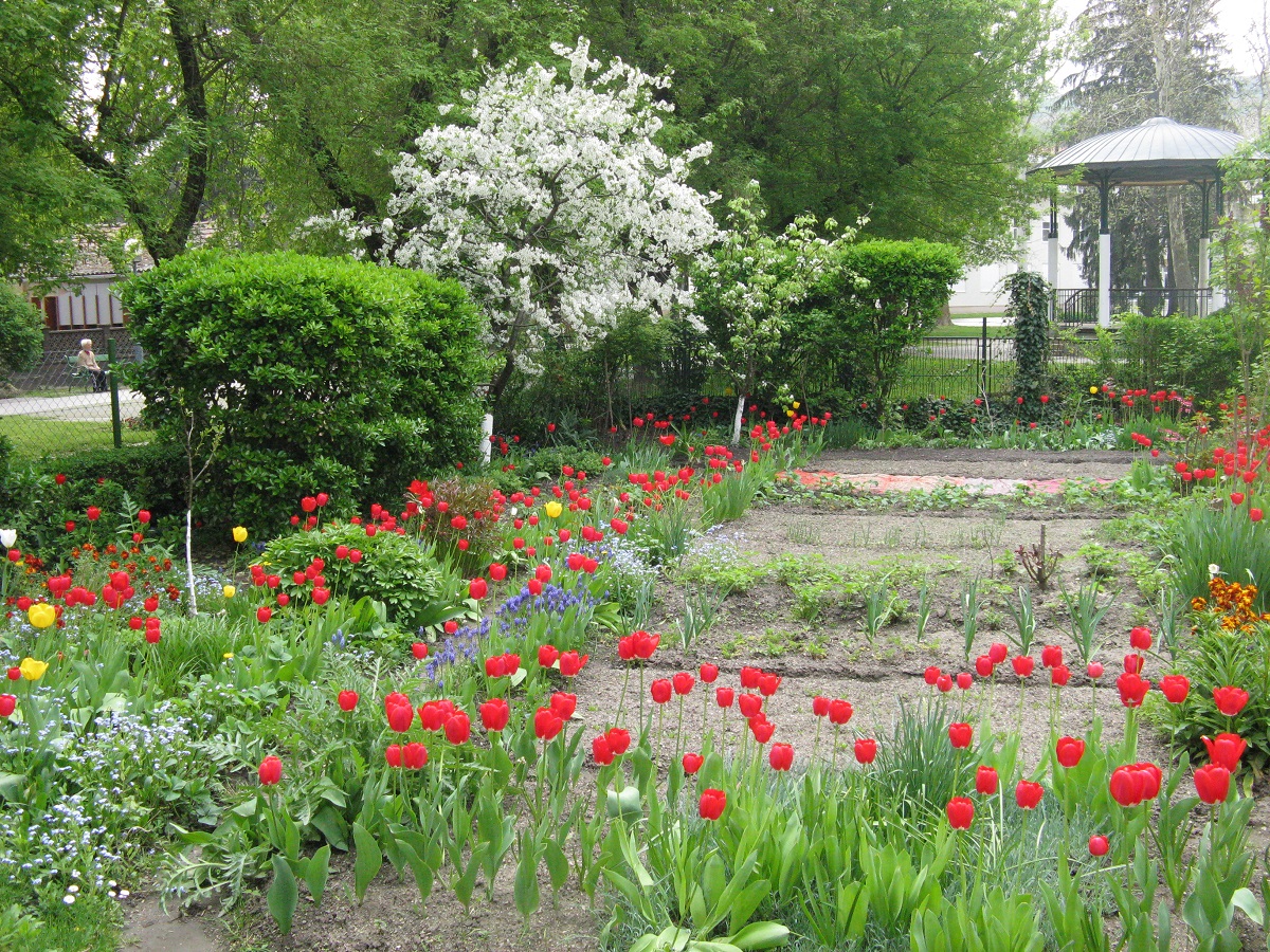 Botanički vrt u Zagrebu, tulipani, narcisi, presličice, povrtnjak