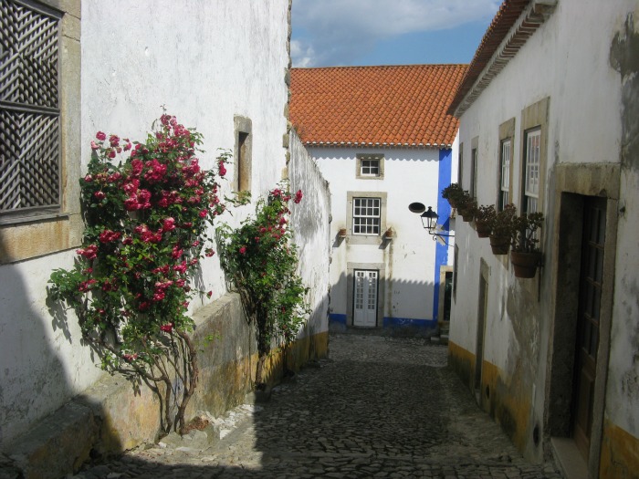 Ruže penjačice u ulici, Obidos, Portugal