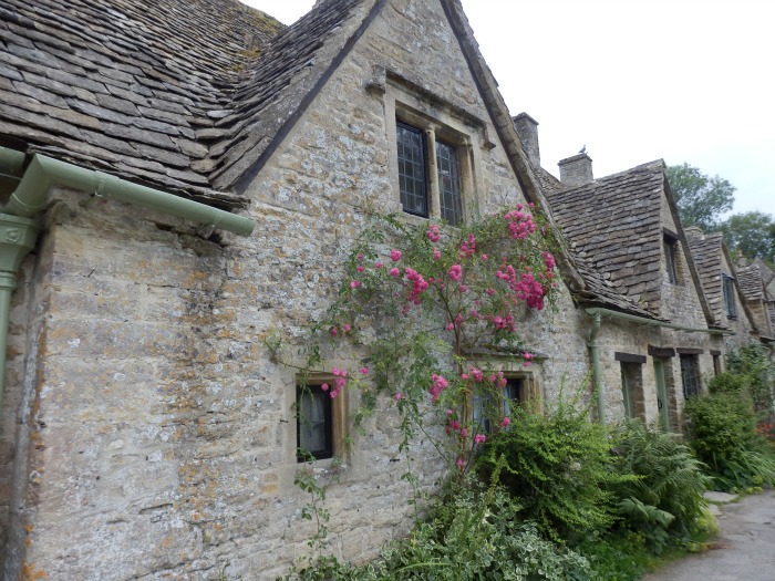 Ruža penjačica u kuću, selo Bilbury, Engleska