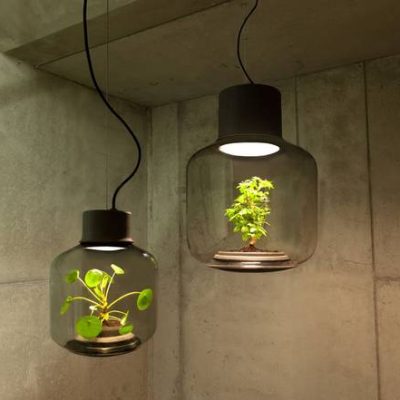LED svjetiljke za rast biljaka u prostorima bez prozora i prirodne svjetlosti