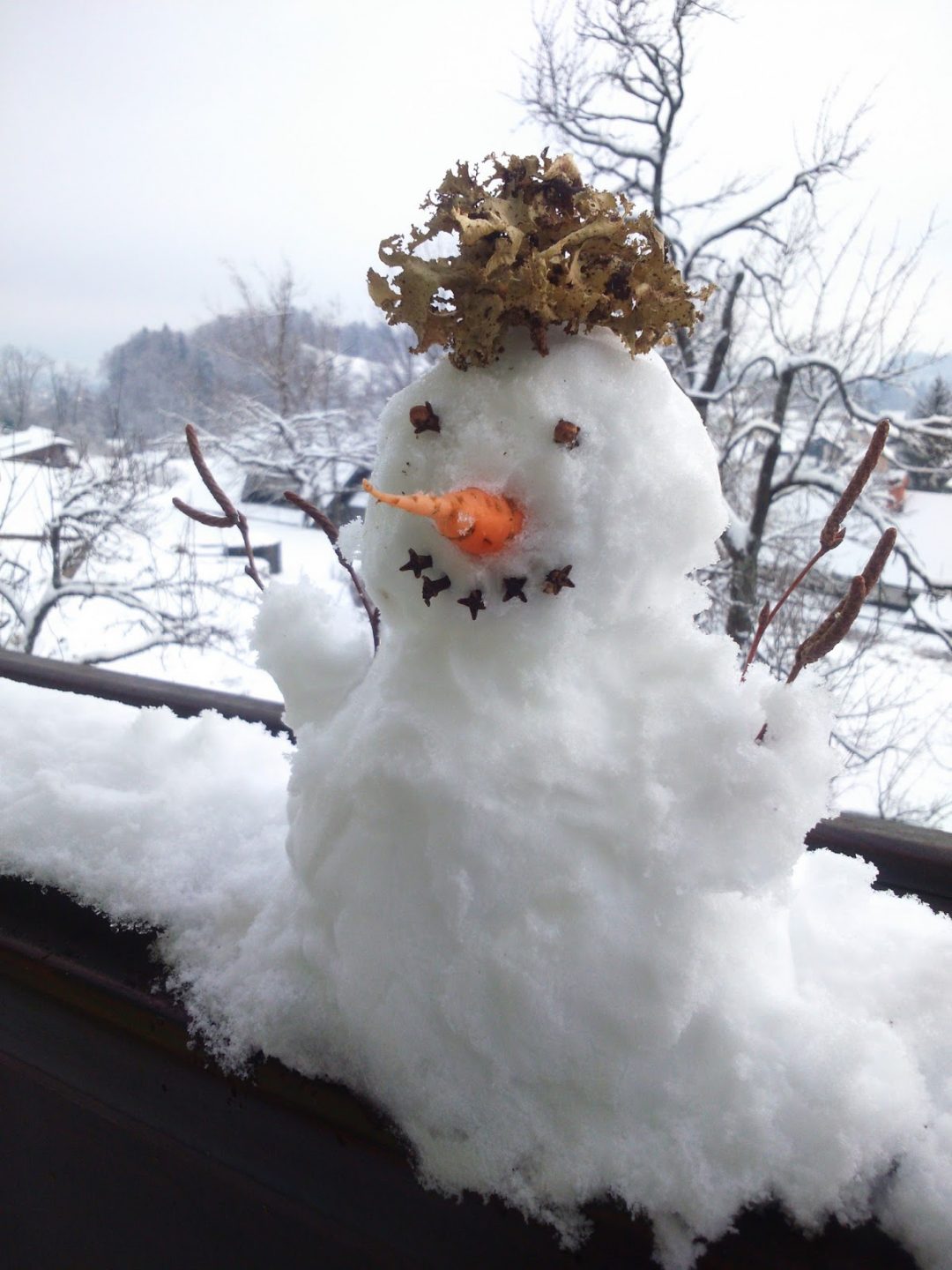 Snjegović u vrtu zimi