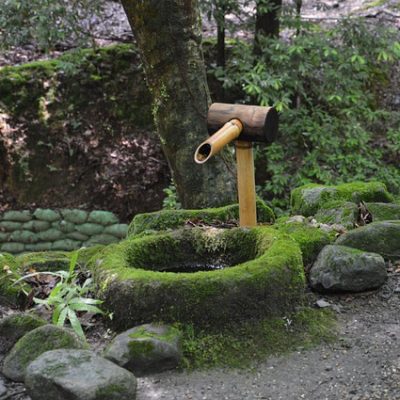 Shishiodoshi fontana u zen vrtu u Japanu obrasla