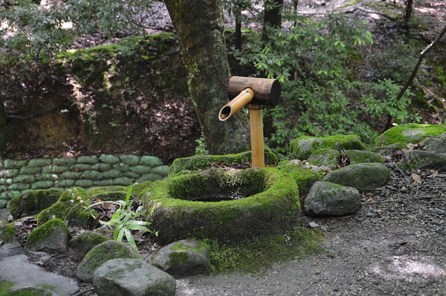 Shishiodoshi fontana u zen vrtu u Japanu obrasla