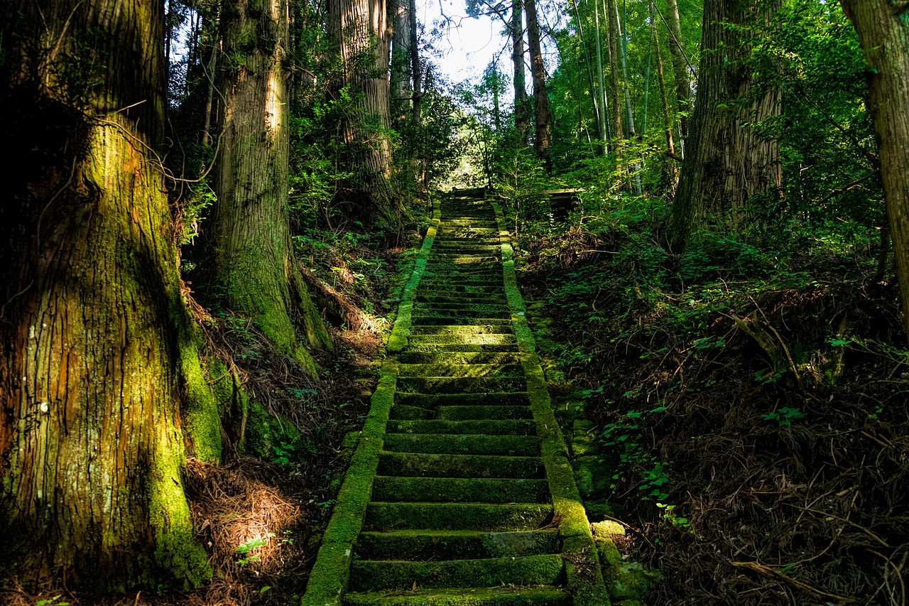 Stepenice kroz šumu u Japanu