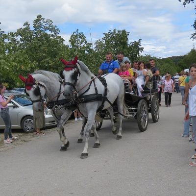 Na Vozočašću u Mariju Bistricu: Veličanstven blagdan ljudi, kočija i konja