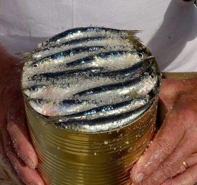 POZIV: Okusi i mirisi mora – kulinarske radionice soljenja ribe i pripreme ribarskog brudeta od srdela