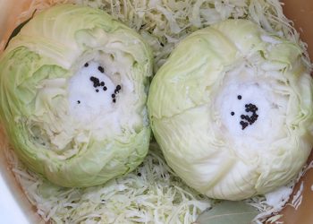 ZIMNICA: Kako se kiseli kupus (FOTO) 7. Na red zelja u bacvi dodajemo glavice tako da budu u ravnini Kiseljenje zelja - pripremljene cijele glavice
