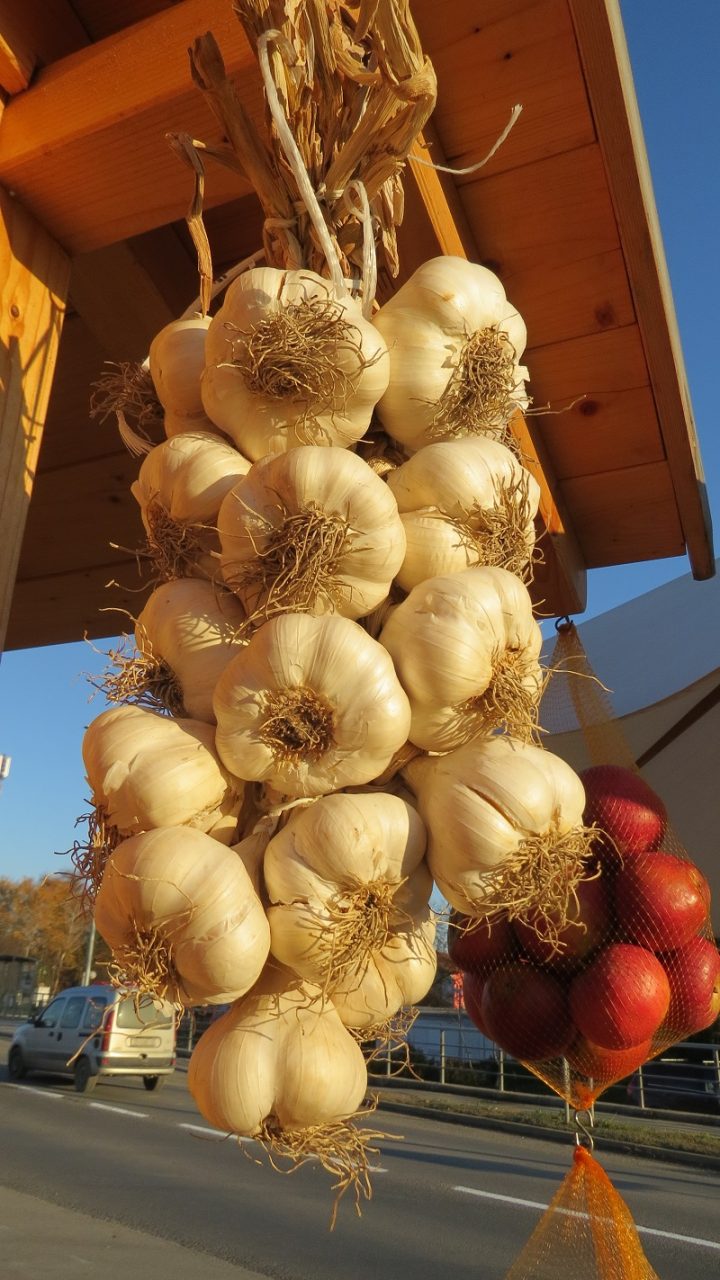 Češnjak iz Čakovca upleten na tradicionalni način na jednom povrćarskom štandu