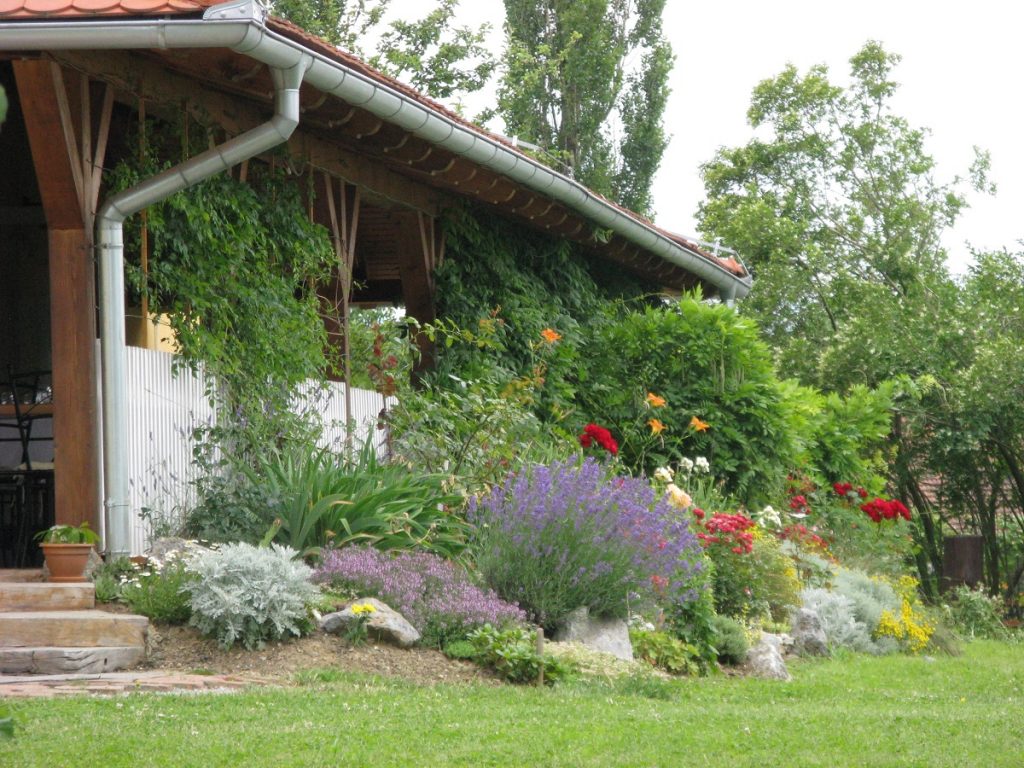 Lavanda u cvjetnjaku ispred kuće