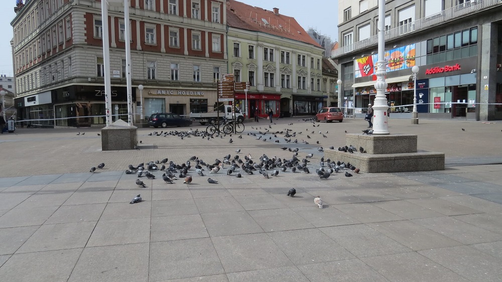 Potres i korona u Zagrebu - tužni i gladni golubovi na Trgu bana Jelačića, nema ljudi