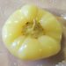 Kisela paprika paradajzerica