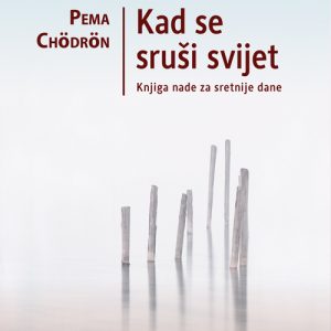 Knjiga nade za sretnije dane, Kad se svijet sruši, Pema Chödrön