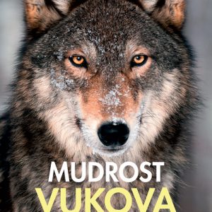 Radinger Mudrost vukova knjiga