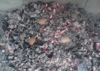 PASTIRSKI SPECIJALITET: Jaja iz pepela Jaja pokrivena pepelom i zarom peka Jaja iz žara od peke