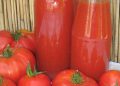 Svježa i ukuhana rajčica