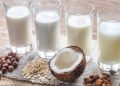 Mlijeko od kokosa, badema, lješnjaka, zobi