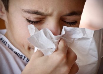 GRIPA I PREHLADA: Kako se liječiti medom, propolisom, matičnom mliječi i peludom cold g3c5982c56 1920 Prehlada i gripa