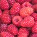 MALINE: Kako napraviti malinovac, džem, žele i kolače raspberries gb5d3f6548 1280 Maline