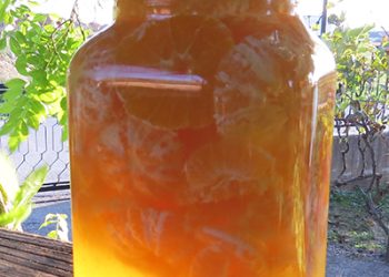 MANDARINO: Fini domaći liker od mandarine Mandarino Mandarino