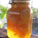 MANDARINO: Fini domaći liker od mandarine Mandarino Mandarino