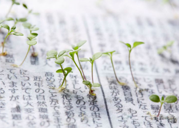 INOVACIJA: Reciklirani papir iz kojeg kliju sjemenke cvijeća Papir iz kojeg klijaju sjemenke Papir iz kojeg klijaju sjemenke