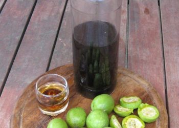 Rakija orahovača i zeleni orasi