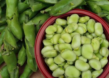 BOB: Sjetva do lipnja, berba do rujna Bob ociscena zrna i mahune Pixabay Bob očišćena zrna i mahune