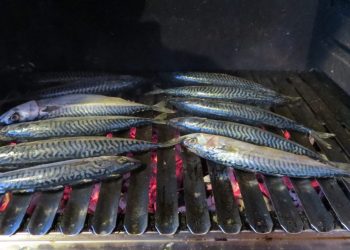 Skuša na žaru Skuse na zaru scaled Skuše na žaru
