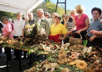 KAMO NA FEŠTU: 16 gastro-događanja u listopadu gljive2012 Gljivarenje u Stubakima, 2012.