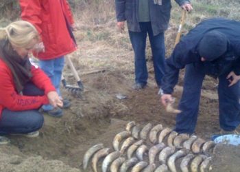 RADIONICA: Praktična izrada biodinamičkog pripravka 500 u Međimurju pripravak 500 Pripravak 500, biodinamička poljoprivreda