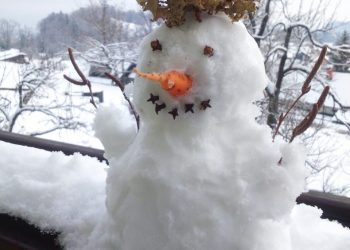 POVRTNJAK ZIMI: Zimske kulture, zaštitni tuneli i pokrovi snjesko Snjegović u vrtu zimi