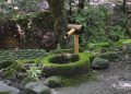 MAHOVINA: Zeleni šumski baršun kojeg u Japanu obožavaju japan g173973fb9 640 Shishiodoshi fontana u zen vrtu u Japanu obrasla