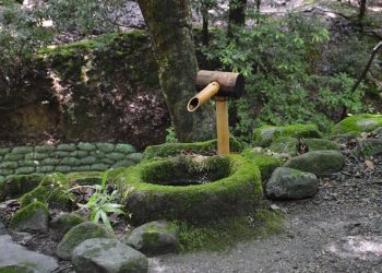 MAHOVINA: Zeleni šumski baršun kojeg u Japanu obožavaju japan g173973fb9 640 Shishiodoshi fontana u zen vrtu u Japanu obrasla
