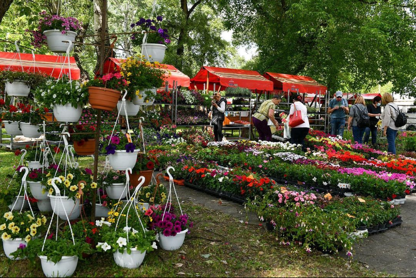 Prodaja sadnica na Floraartu