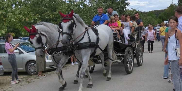 Špalir na vozočašču u Mariji Bistrici 2022