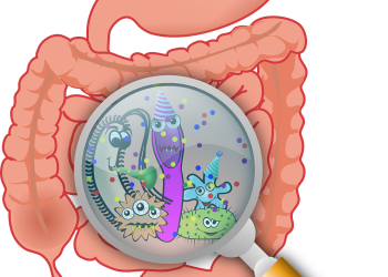 Zdravi mikrobiom ublažava simptome korone, a disbalans mikrobioma dovodi do produženog Covida anatomy ge0af576fc 1280 MIkrobiom