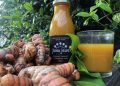 JAMU: Protuupalni eliksir od kurkume Jamu Jawa Tonic FB Ljekoviti indonezijski tonik od kurkume Jamu